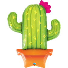 SUPERSHAPE POTTED CACTUS